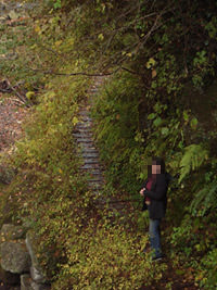 耶馬溪の一目八景で紅葉狩り