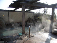 美奈宜の杜温泉 杜の湯