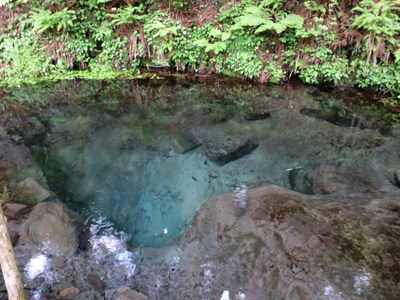 男池と白水鉱泉