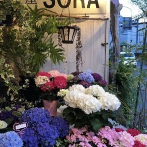 花屋SORA
